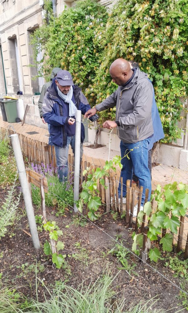 AFSS_Vignes-en-ville-2026-10 AFSS Vignes en ville 2026 10