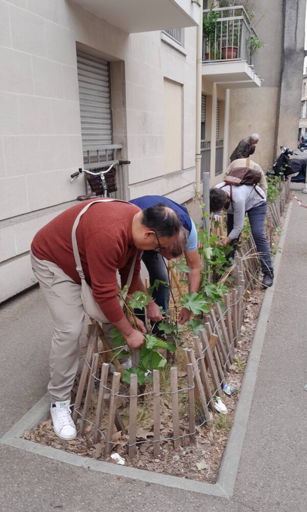 AFSS_Vignes-en-ville-2026-13 AFSS Vignes en ville 2026 13