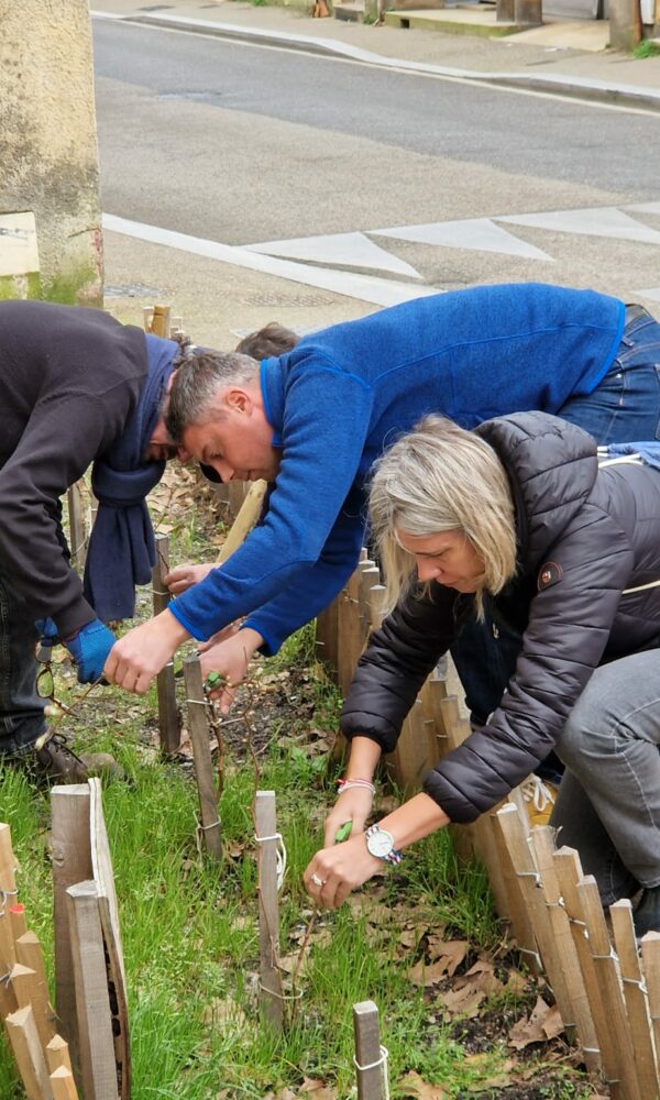 AFSS_Vignes-en-ville-2026-19 AFSS Vignes en ville 2026 19