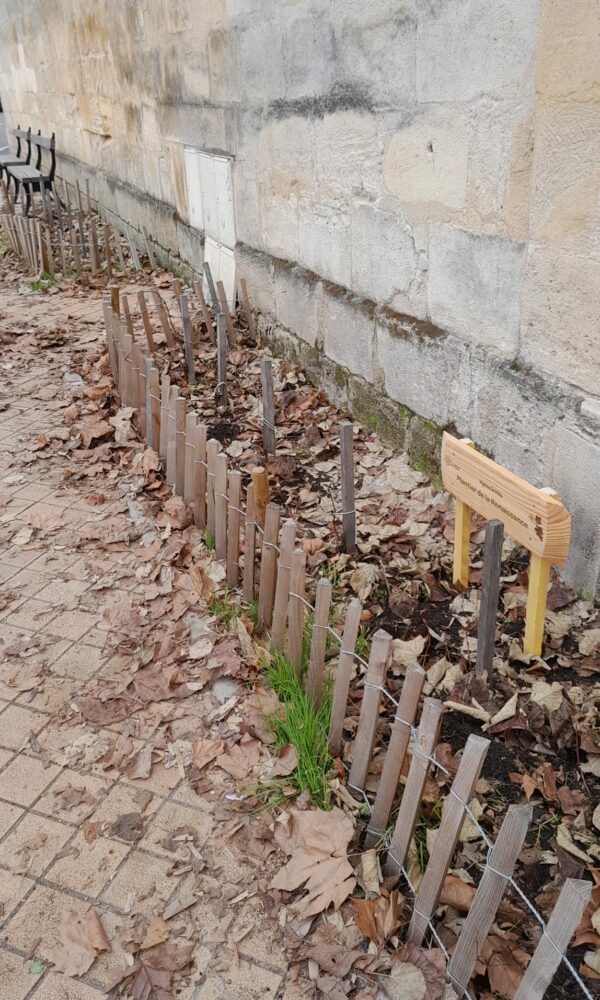 AFSS_Vignes-en-ville-2026-26 AFSS Vignes en ville 2026 26