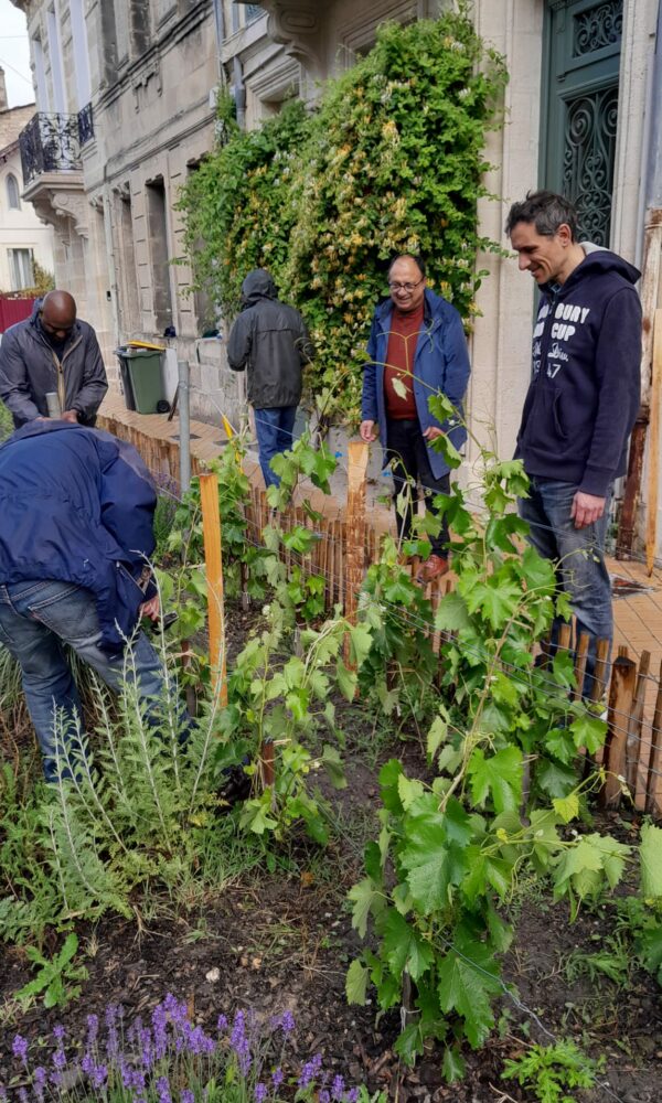AFSS_Vignes-en-ville-2026-6 AFSS Vignes en ville 2026 6