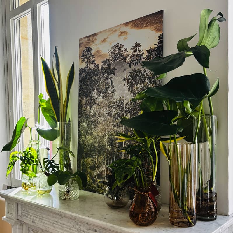 MAISON FILENTROPIQUE